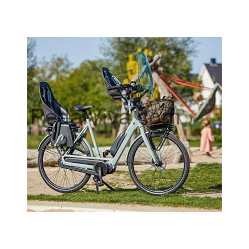 Gazelle Bloom ficha tecnica